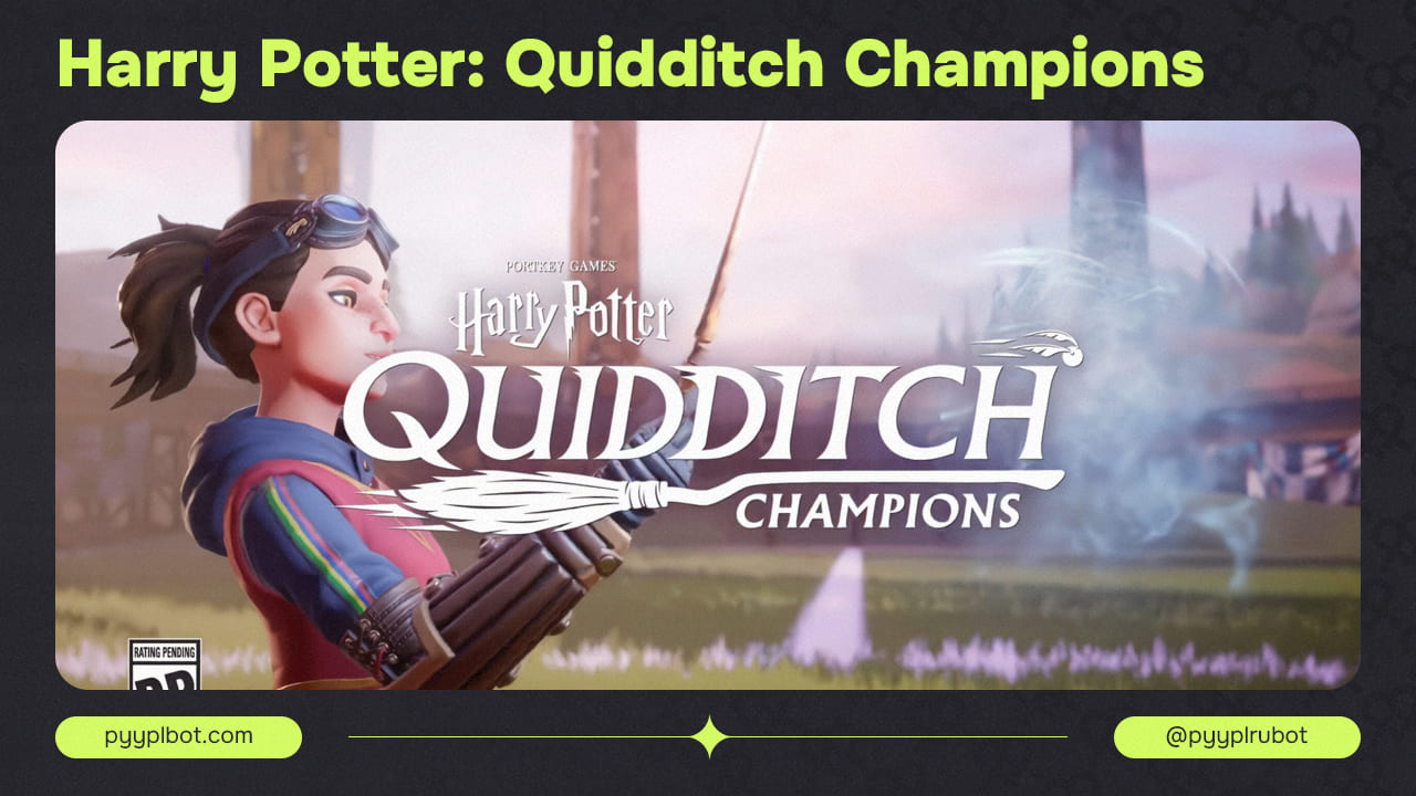 Harry Potter Quidditch Champions