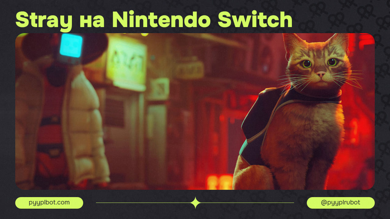 Stray готовится к выходу на Nintendo Switch в ноябре — новый дом для рыжего котика